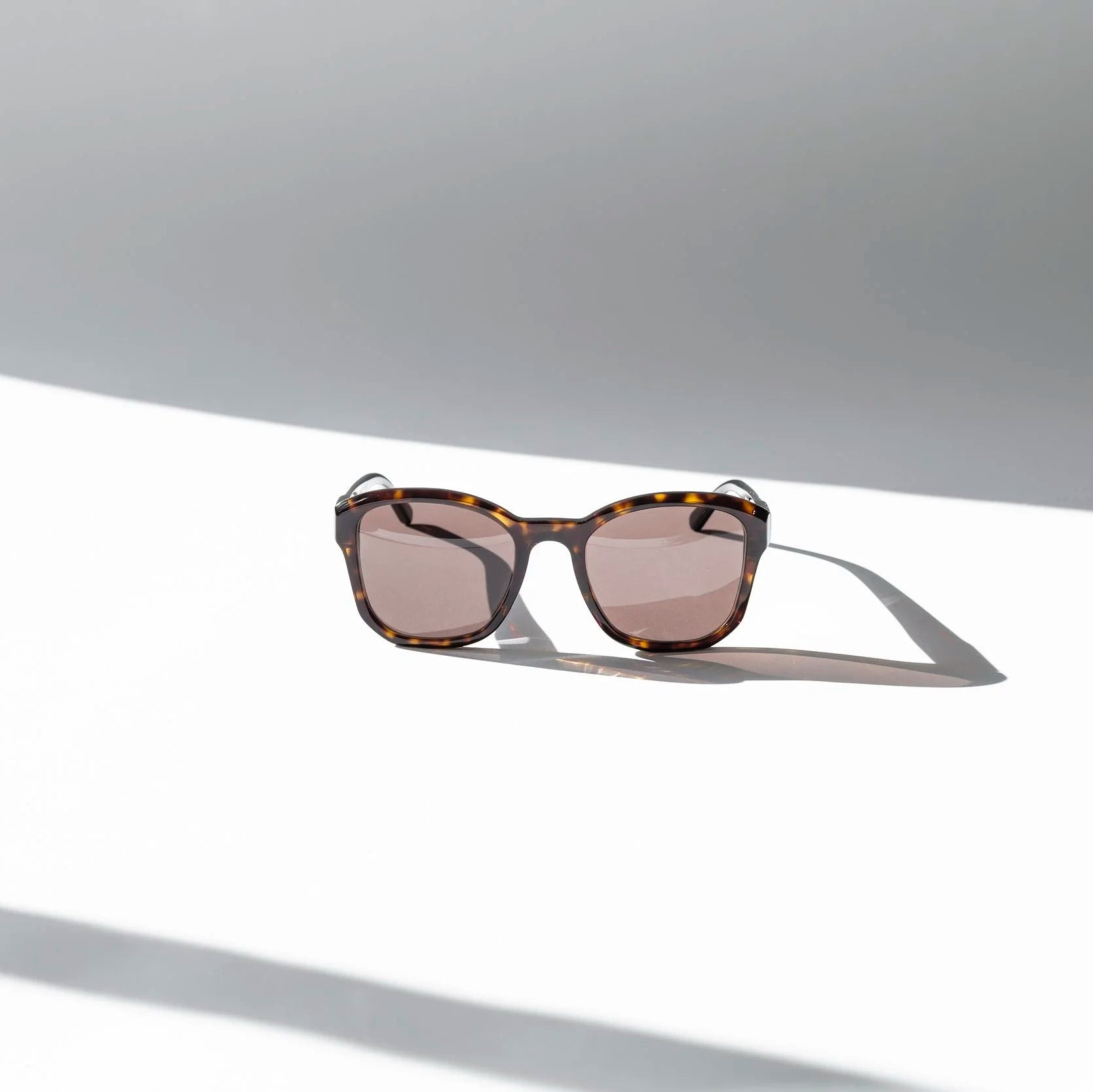 Eva Masaki BQE Sunglasses Goldfinch