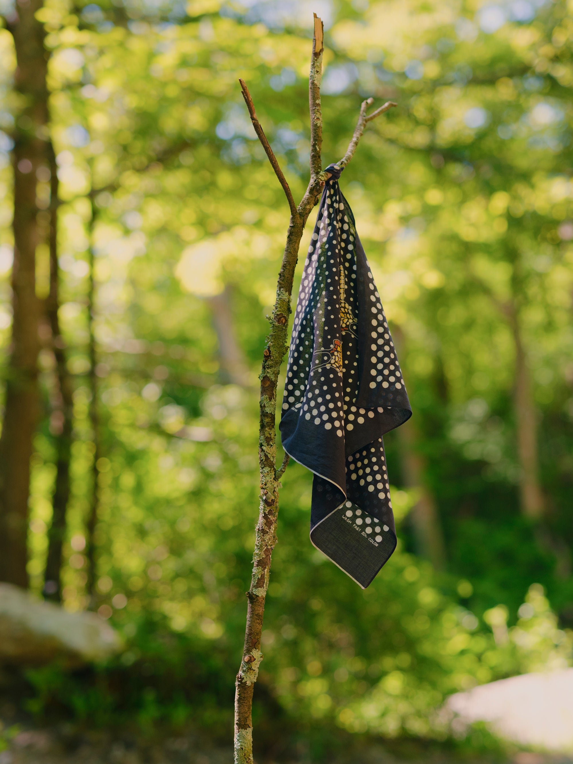 Kapital Coco Swallowtail Black
