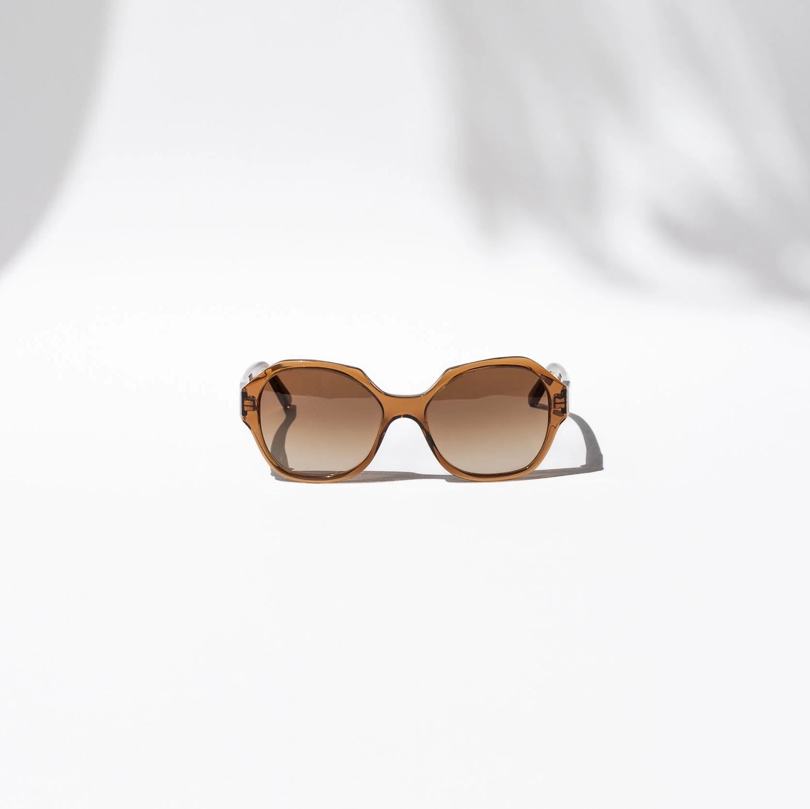 Eva Masaki 001 Sunglasses TMG