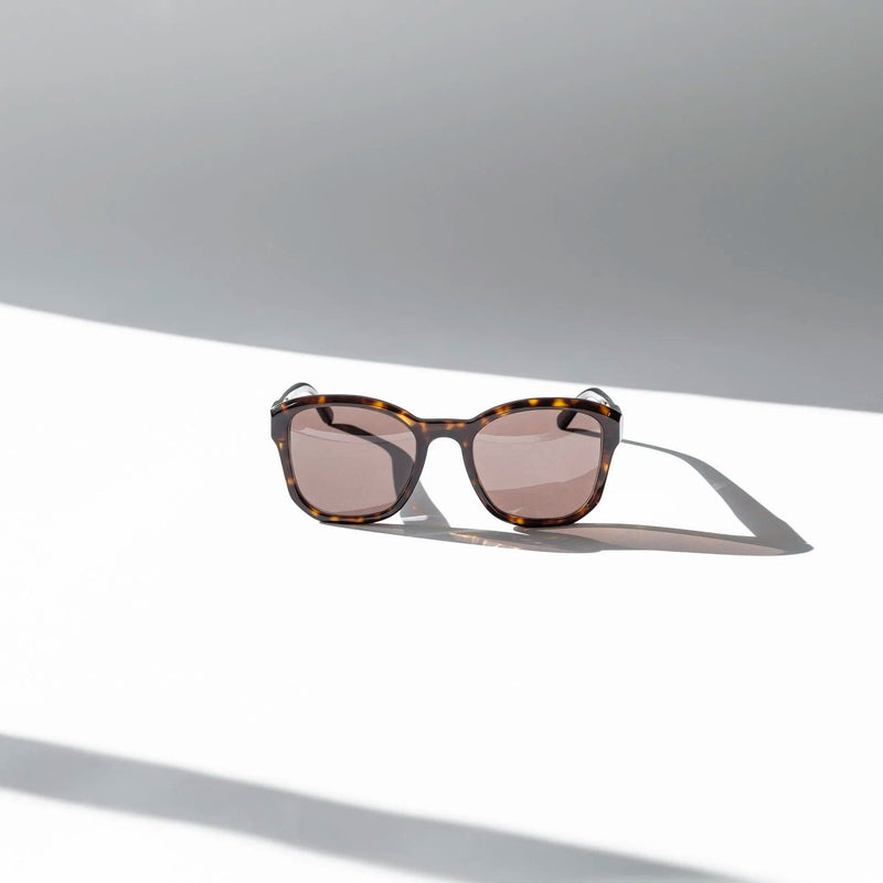 Eva Masaki BQE Sunglasses Goldfinch