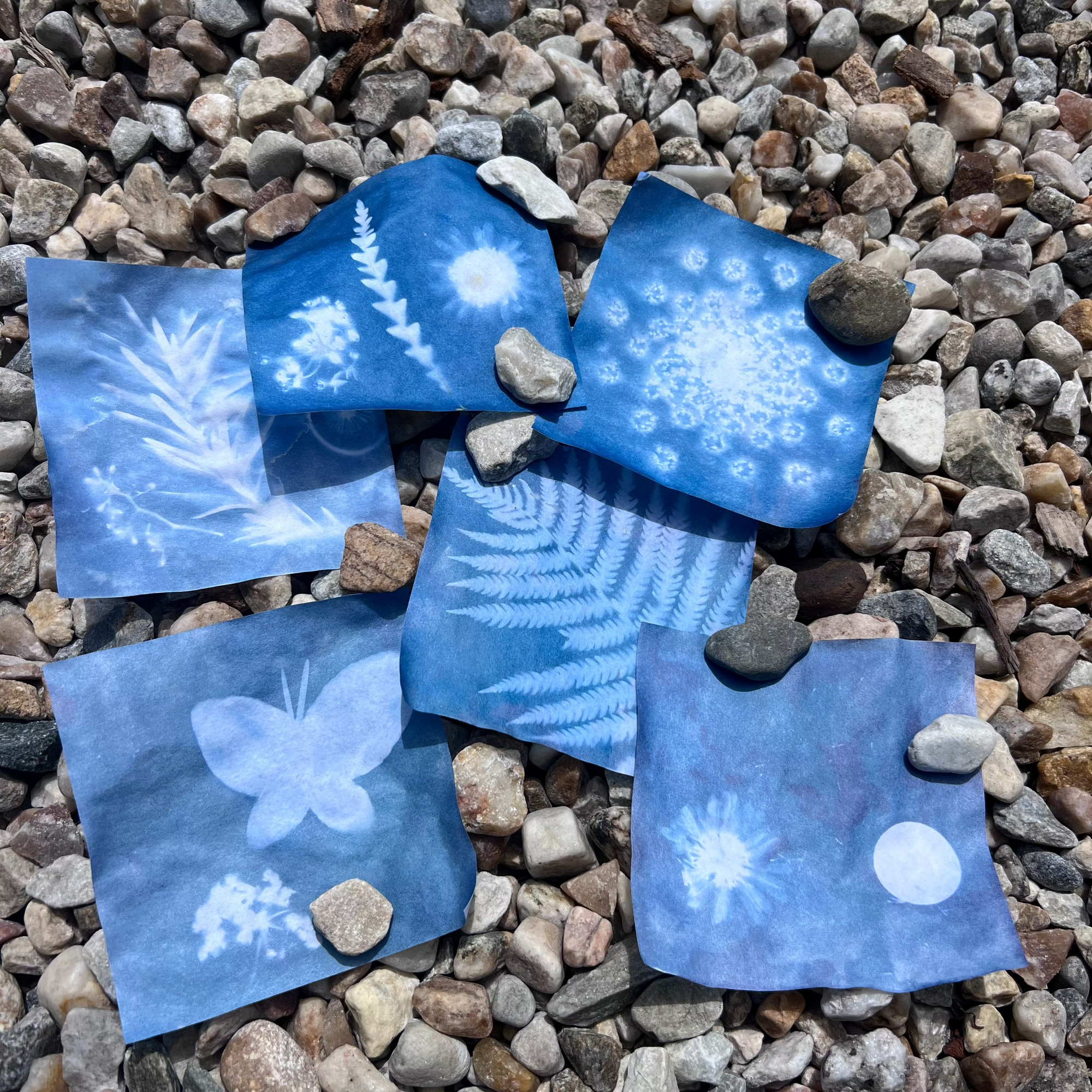 Sun Print Kits