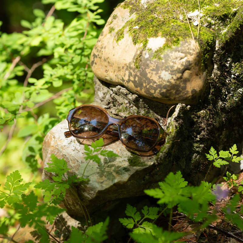 Eva Masaki 001 Sunglasses TMG