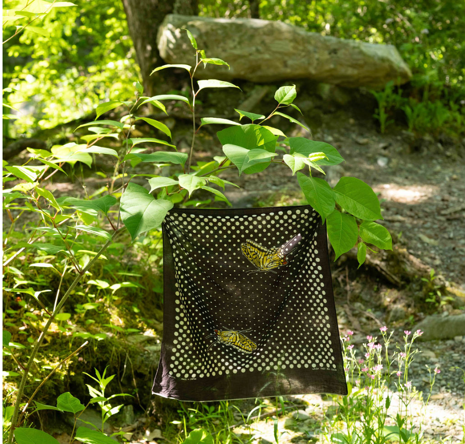 Kapital Coco Swallowtail Black