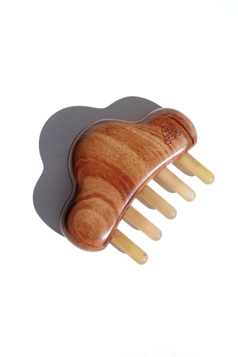 Wax Apple Cloud MAssager