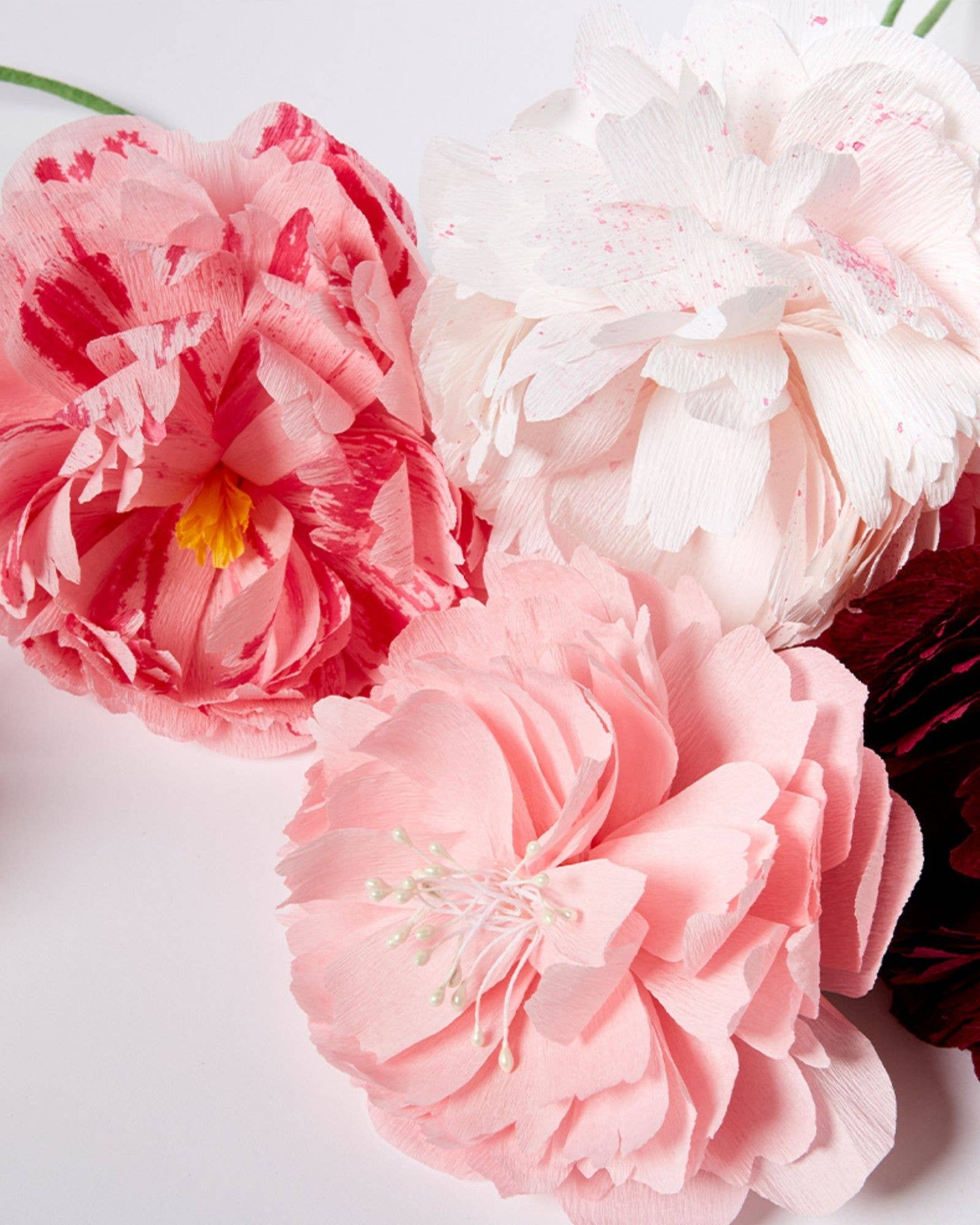 Paper Flowers Kit